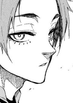 糸師兄弟の許嫁溺愛されてる件