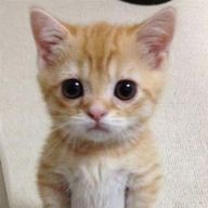 🌙さんのアイコン画像