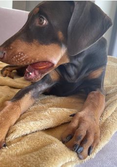 いやいやこんな事ある？