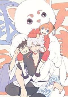 私は！！「坂田銀時」の妹として！！お兄ちゃんの幸せを全力で守っていきたいと思います！！