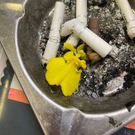 ネジ巻きさんのアイコン画像