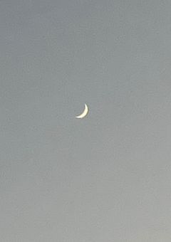 マネージャーさん疲れてるらしい