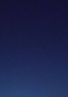 天使さんの恋人探し