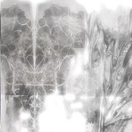 ﾎﾜｲﾄﾁｮｺさんのアイコン画像