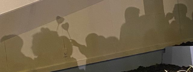 Picon さんの壁紙画像