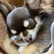 ♡Rio♡さんのアイコン画像