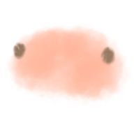 たーさんのアイコン画像
