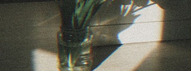 いとさんの壁紙画像