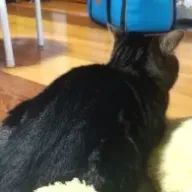 まつさんのアイコン画像