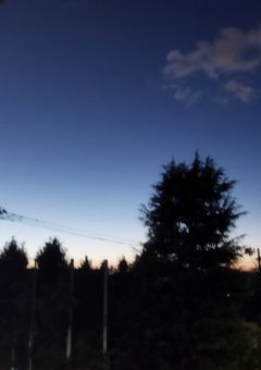 四季家の最強は仮面を被る