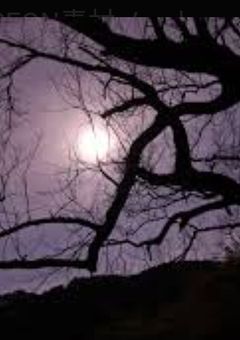 12人とゾンビの世界