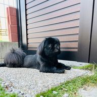 ミツクリさんのアイコン画像