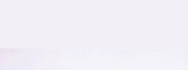 怜🎲しんじゅとペア画像中さんの壁紙画像