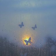 すいまさんのアイコン画像