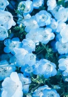 夢なら早く覚めて欲しい