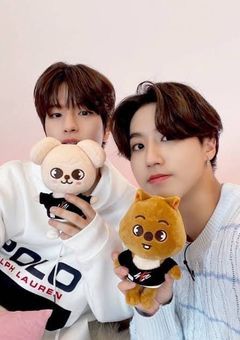 ブーゲンビリアの花