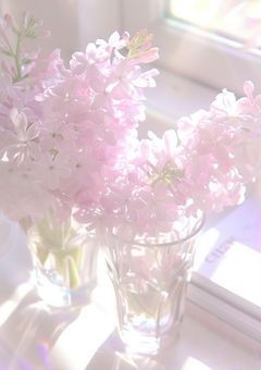 𝙽𝚓𝚜𝟺 / 淡 夜 に 溶 け る セ レ ナ ー デ .