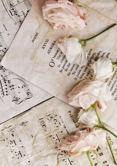 𝙽𝚓𝚜𝟺 / 淡 夜 に 溶 け る セ レ ナ ー デ .