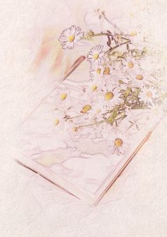 　𝙽𝚓𝚜𝟺　/　淡 夜 に 溶 け る セ レ ナ ー デ .