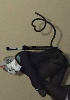 攫われた猫