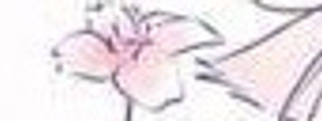 Y. vさんの壁紙画像