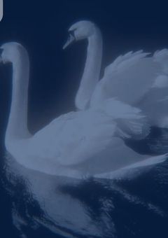 　隣に居るだけで