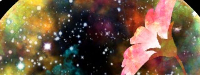 Rui 瑠衣@受験生さんの壁紙画像