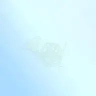 𝓜𝓲𝓴𝓾さんのアイコン画像