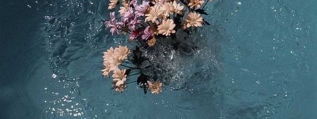 ハユナさんの壁紙画像