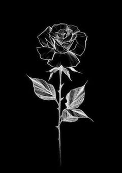 私はもう、いらないの。