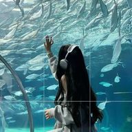 ゆるさんのアイコン画像