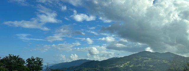 しらたま。さんの壁紙画像