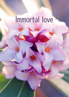 Immortal Love