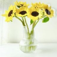 暇茶さんのアイコン画像