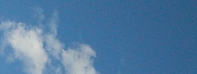 ひ   ろ    ら     🫧 🤍 ✊🏻  ̖́-さんの壁紙画像