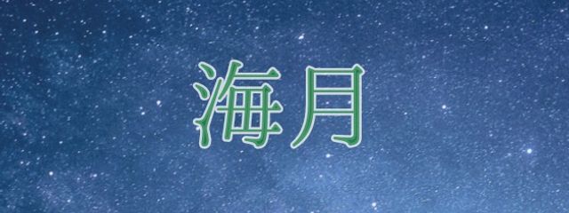 海月さんの壁紙画像