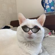 朔さんのアイコン画像