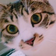 Rさんのアイコン画像