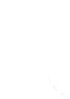 音駒の脳は溺愛される