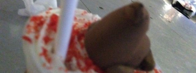 しがない兎の星使いさんの壁紙画像