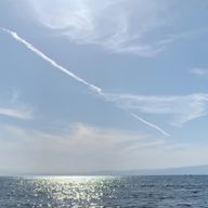 楓🍁さんのアイコン画像