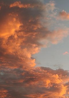 俺は先輩だぞ！？