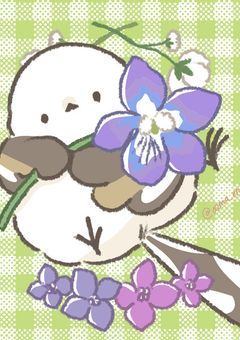 普通ってなんだろう。