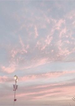 📖´-［　坂本取り扱い説明書　］