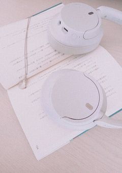 ネタ提供
