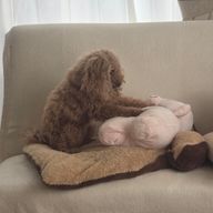 ウーナさんのアイコン画像