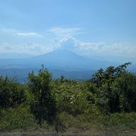 ミンミンミンミンミンゼミさんのアイコン画像