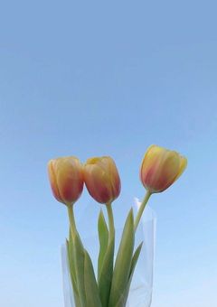 🫧storytelling shop🫧