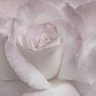 李さんのアイコン画像