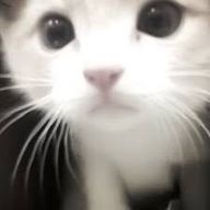 𝑆さんのアイコン画像